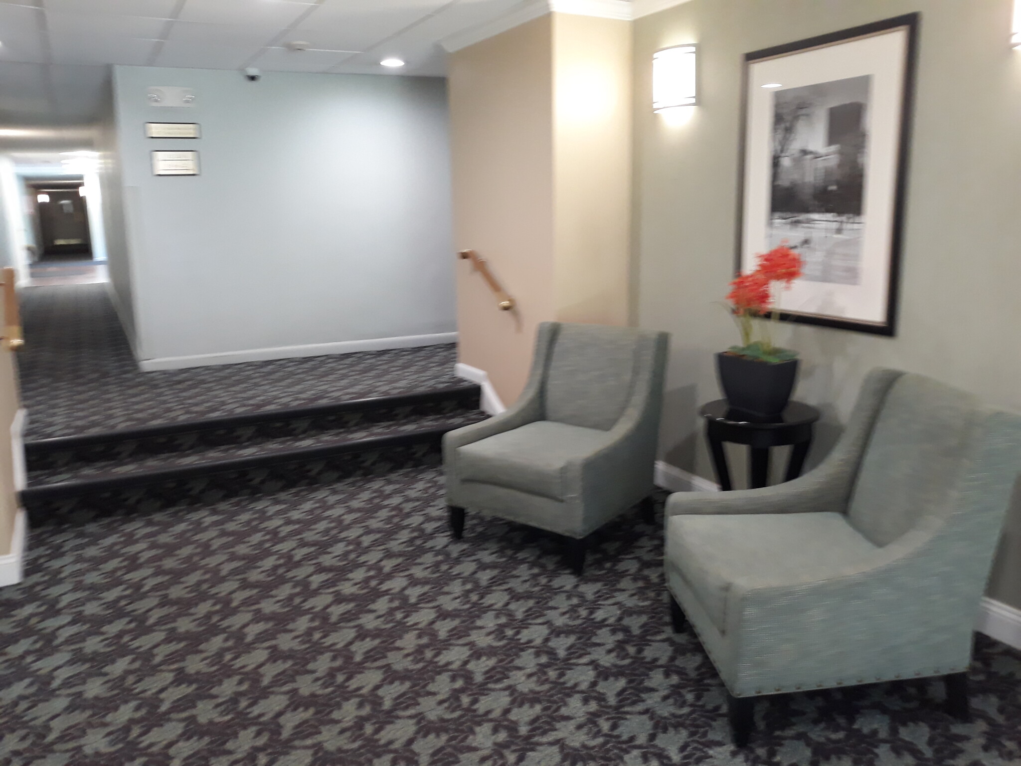 57 Broadlawn Park, West Roxbury