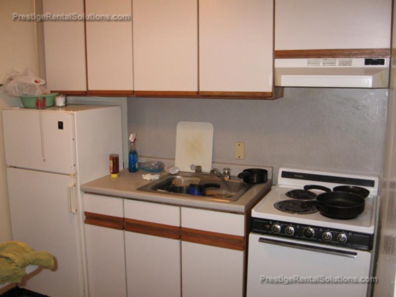 231 Harrison Ave, Chinatown