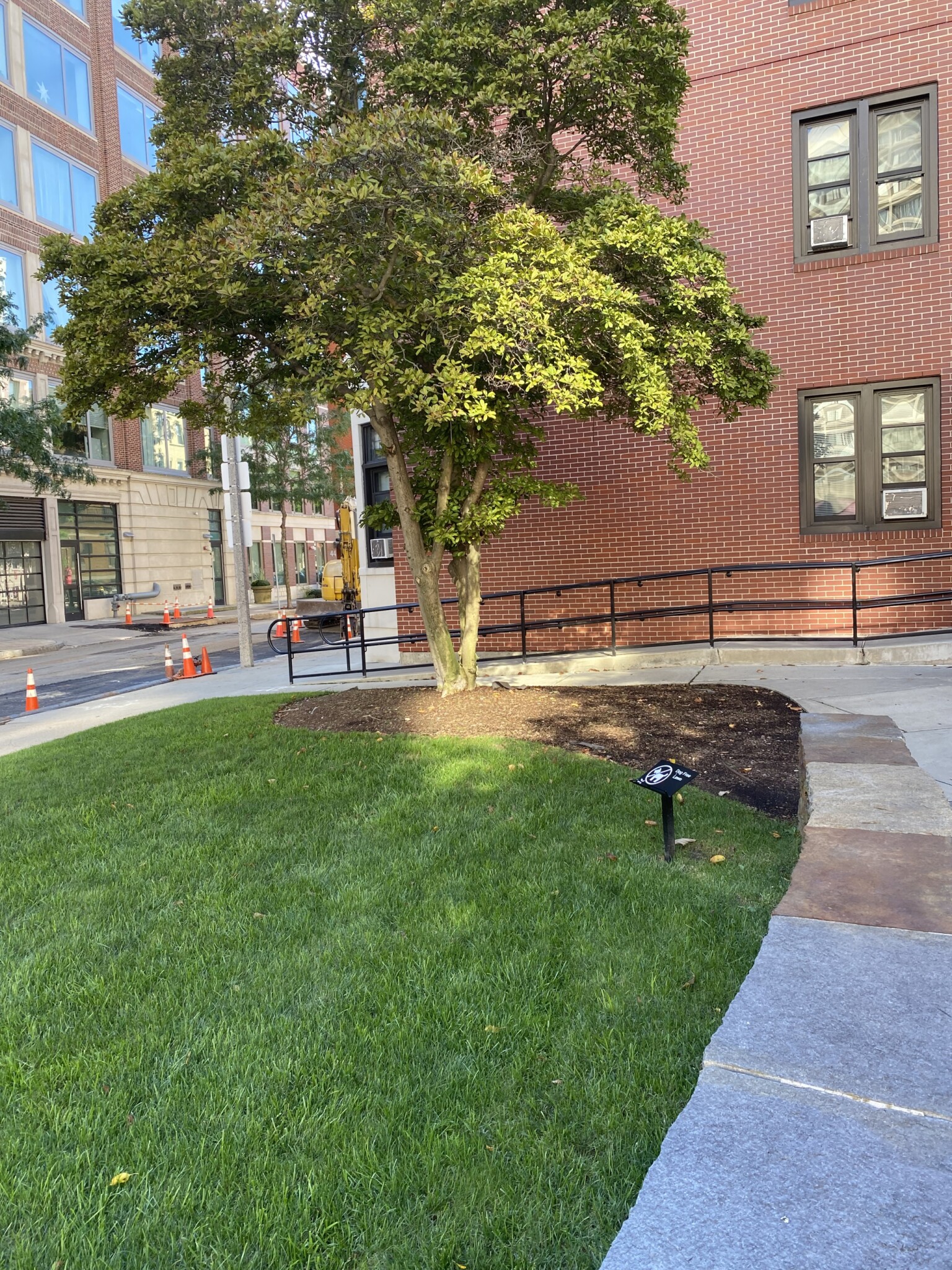 31 Burbank St, Fenway