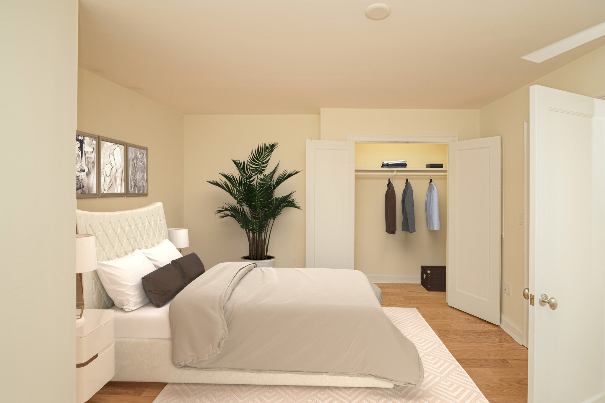 20 Chapel St, Longwood