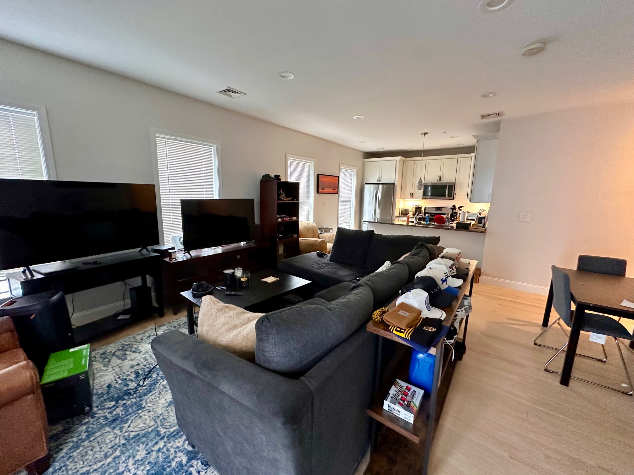 15 Dana Ave. — Hyde Park