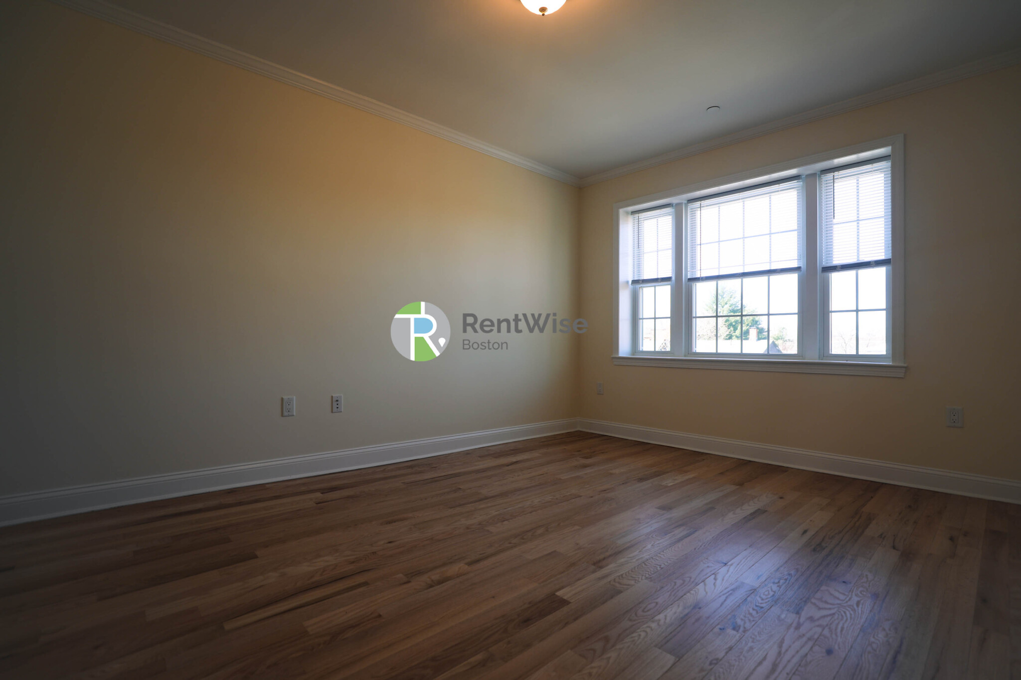 55 Langdon St, Neighborhood Nine