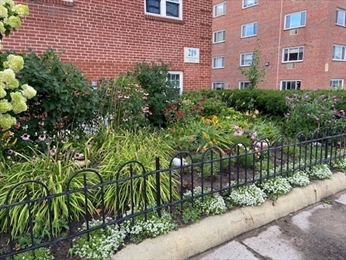 219 Massachusetts Ave, Arlington