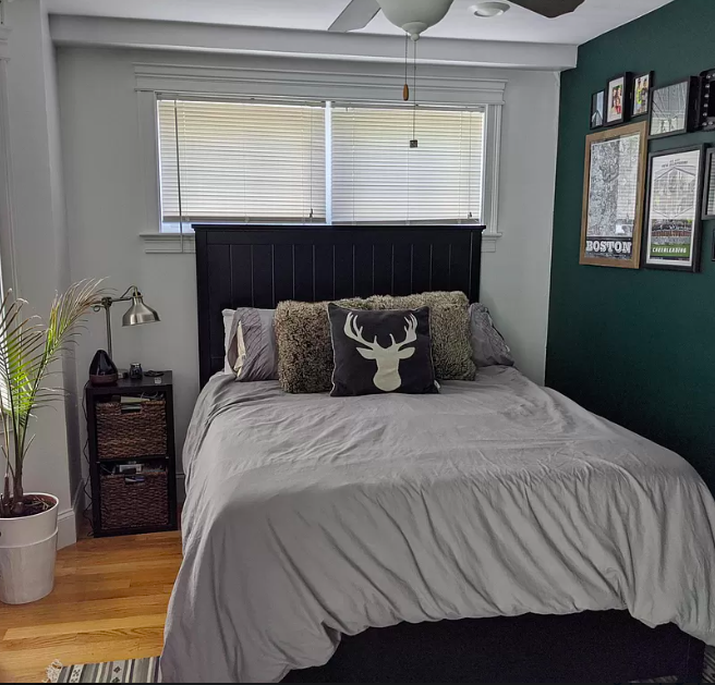 6 Fern St, Lower Allston