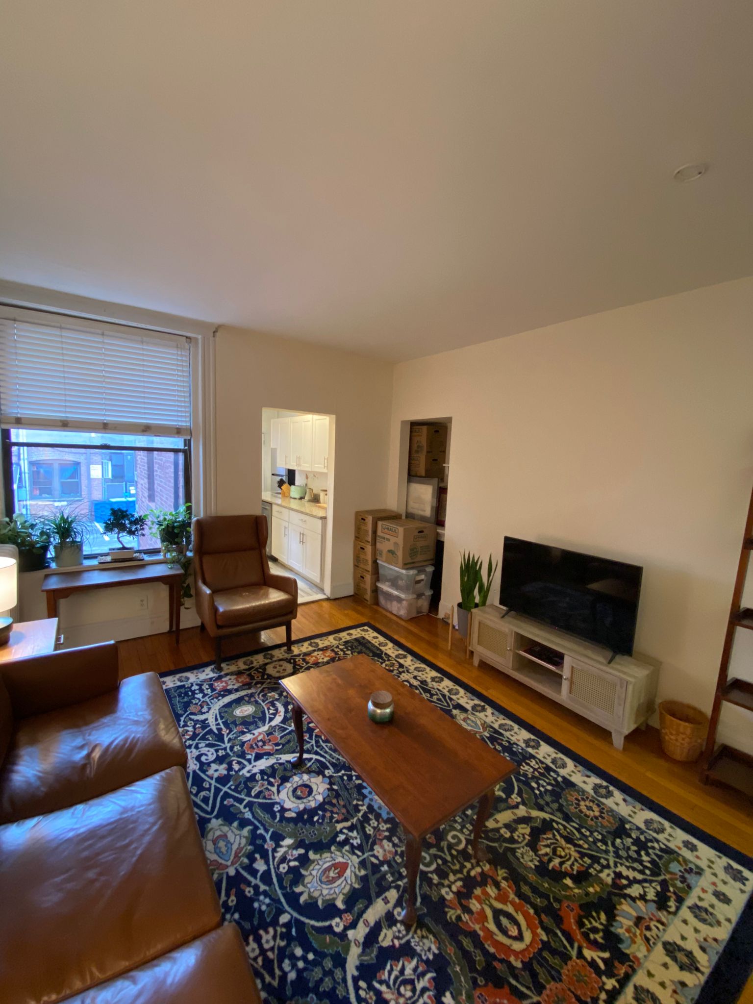 46 Orkney Rd. — Brighton