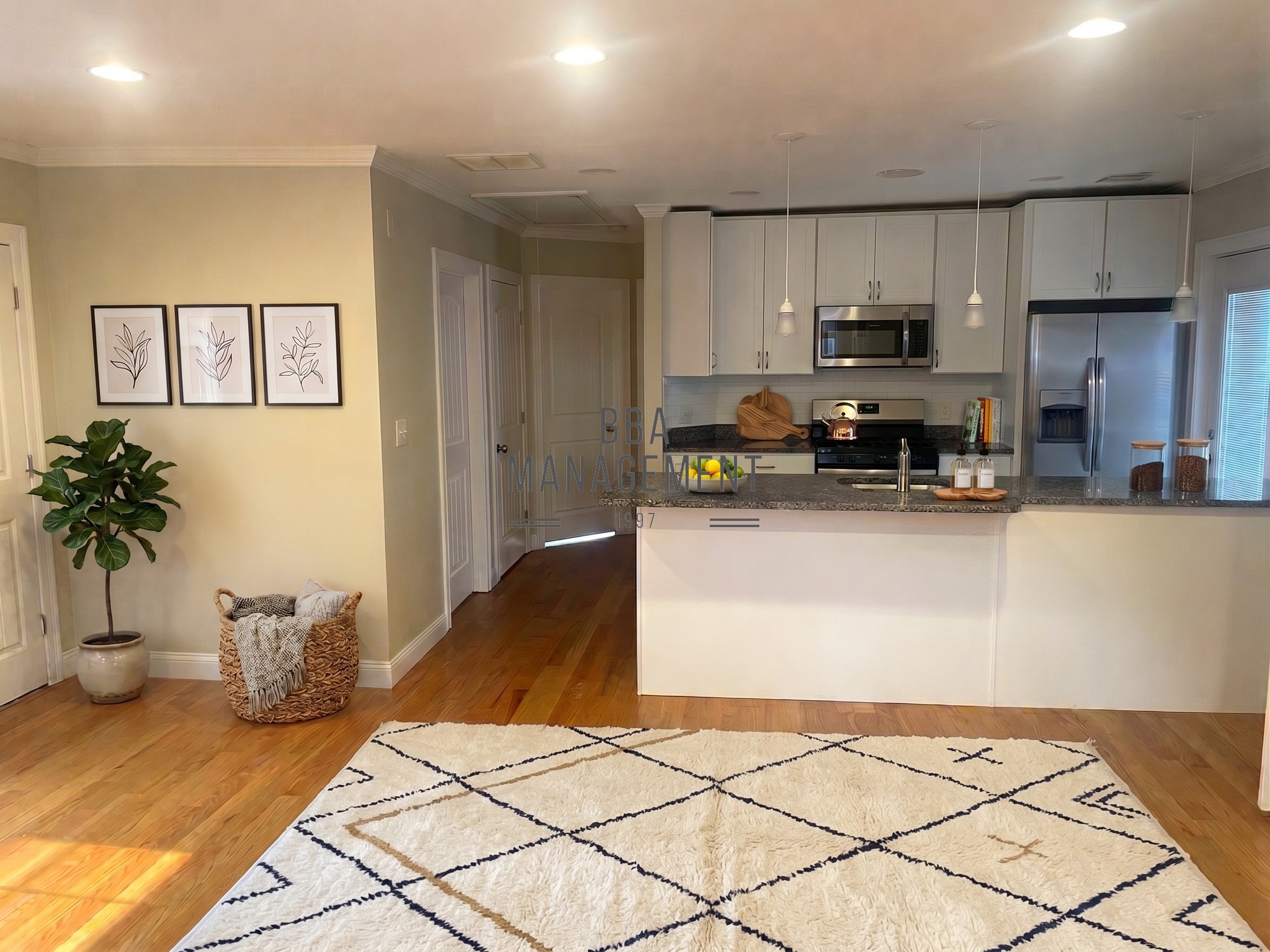 Photos of apartment on West Tremlett St.,Boston MA 02124