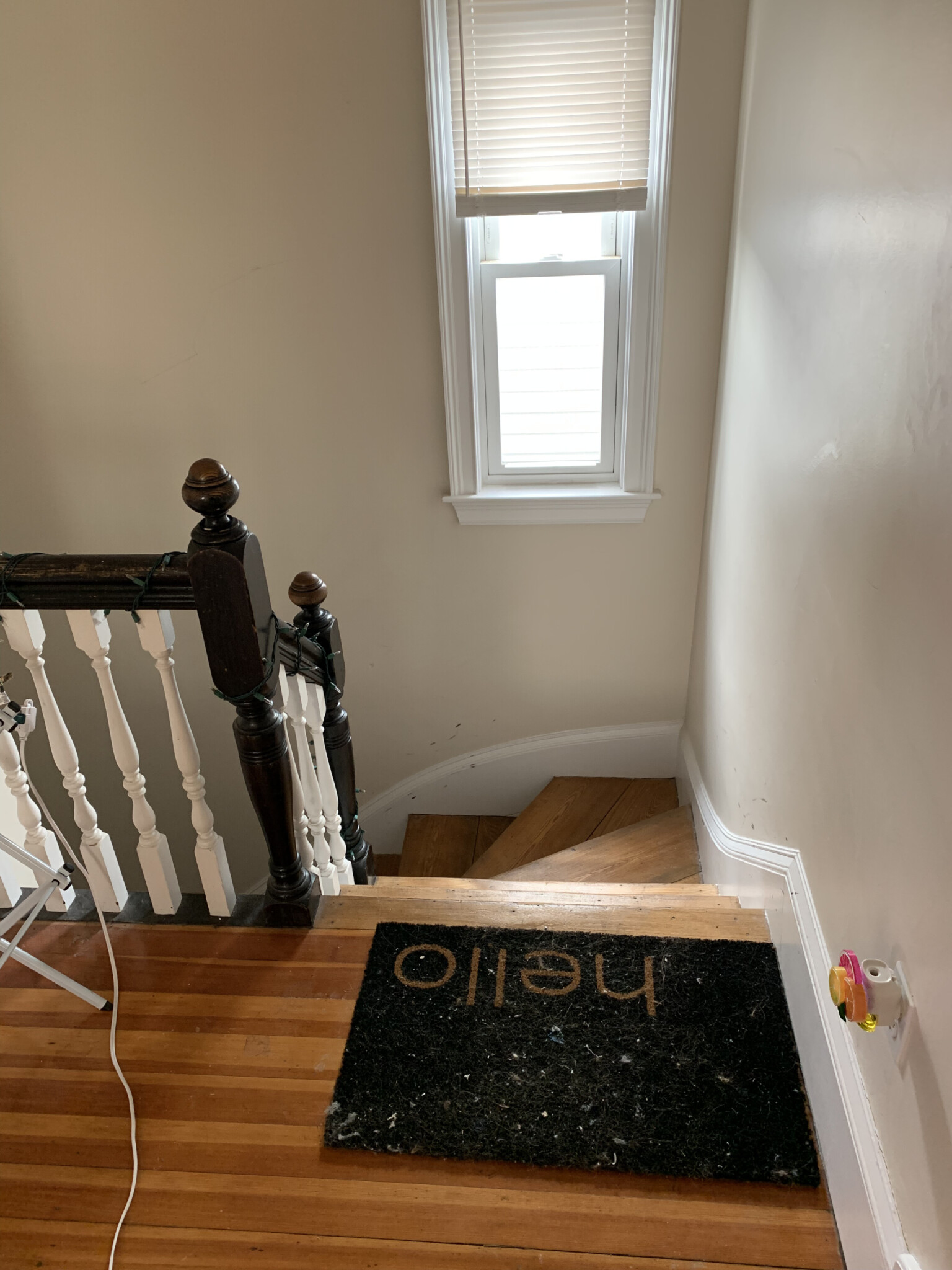 Photos of apartment on L St.,Boston MA 02127