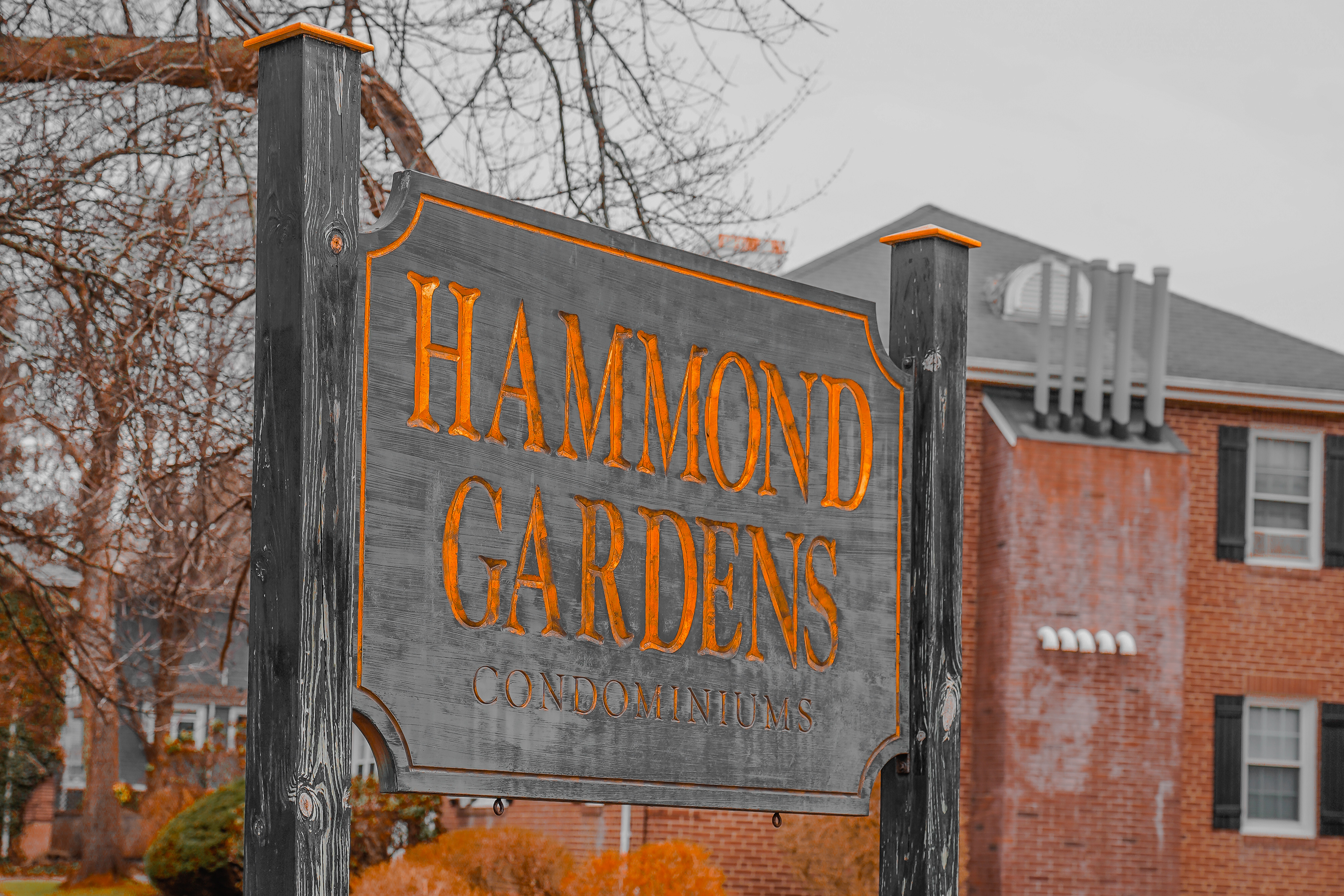 Photos of apartment on Hammond Pond Pkwy.,Newton MA 02467