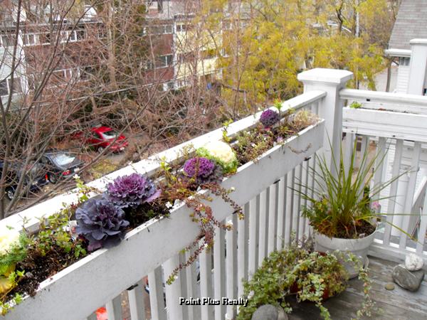 10 Bowdoin St, Neighborhood Nine