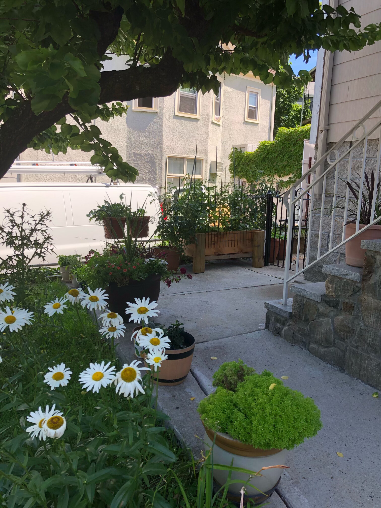 257 Powder House Boulevard, West Somerville