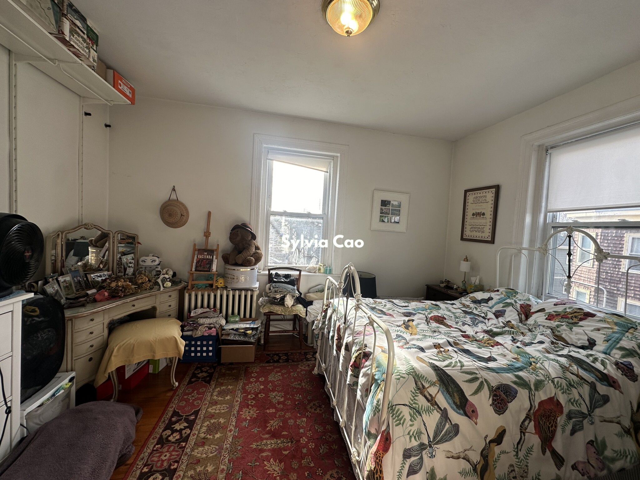 41 Chestnut Hill Ave, Brighton