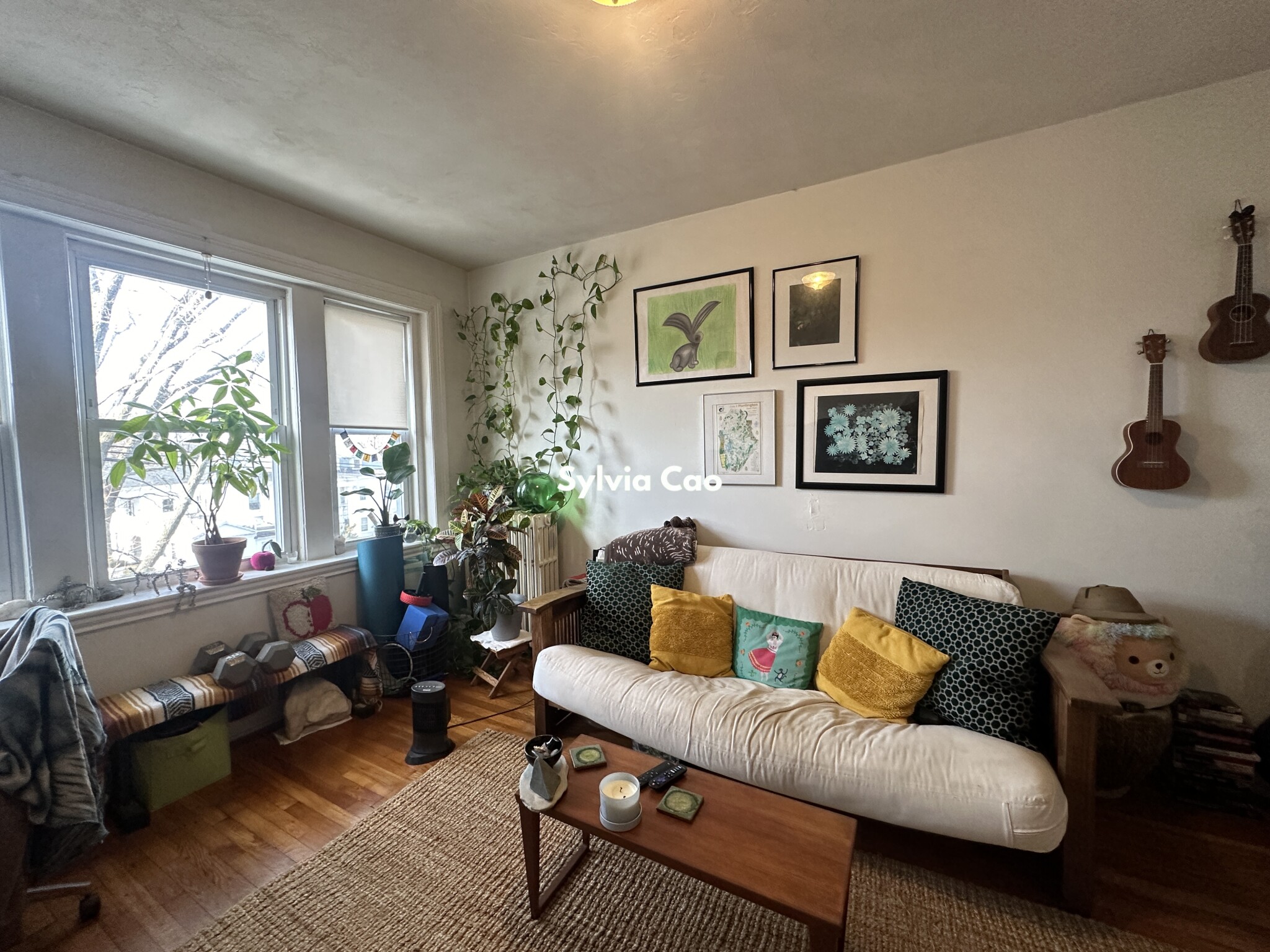 41 Chestnut Hill Ave, Brighton