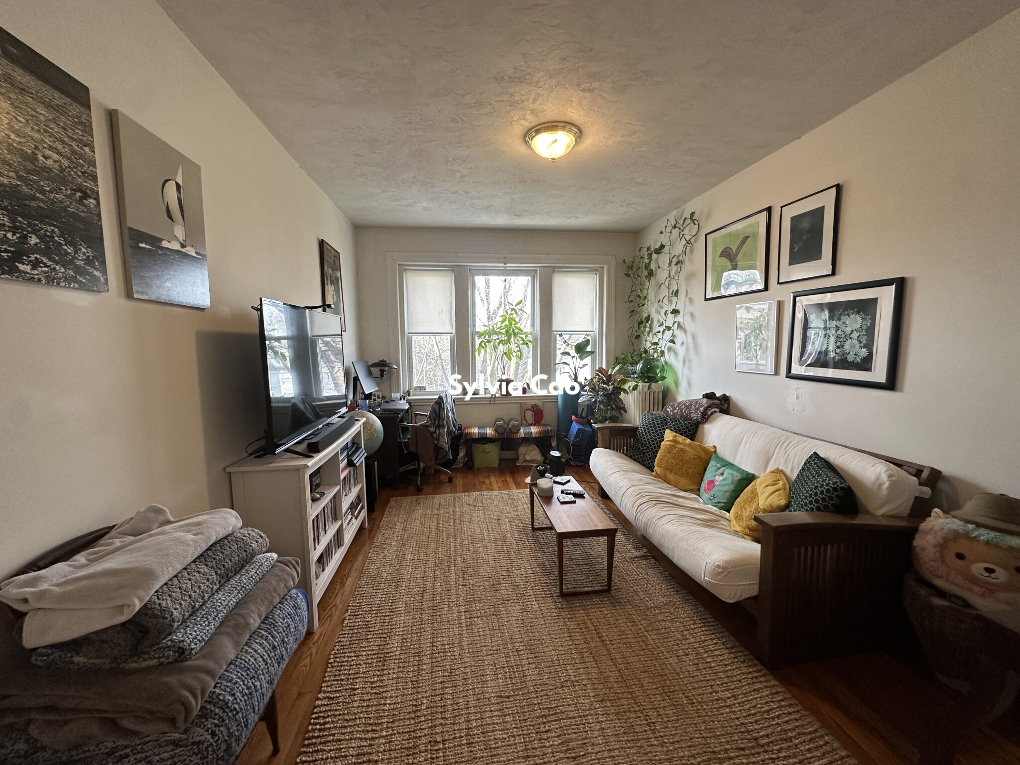 41 Chestnut Hill Ave, Brighton