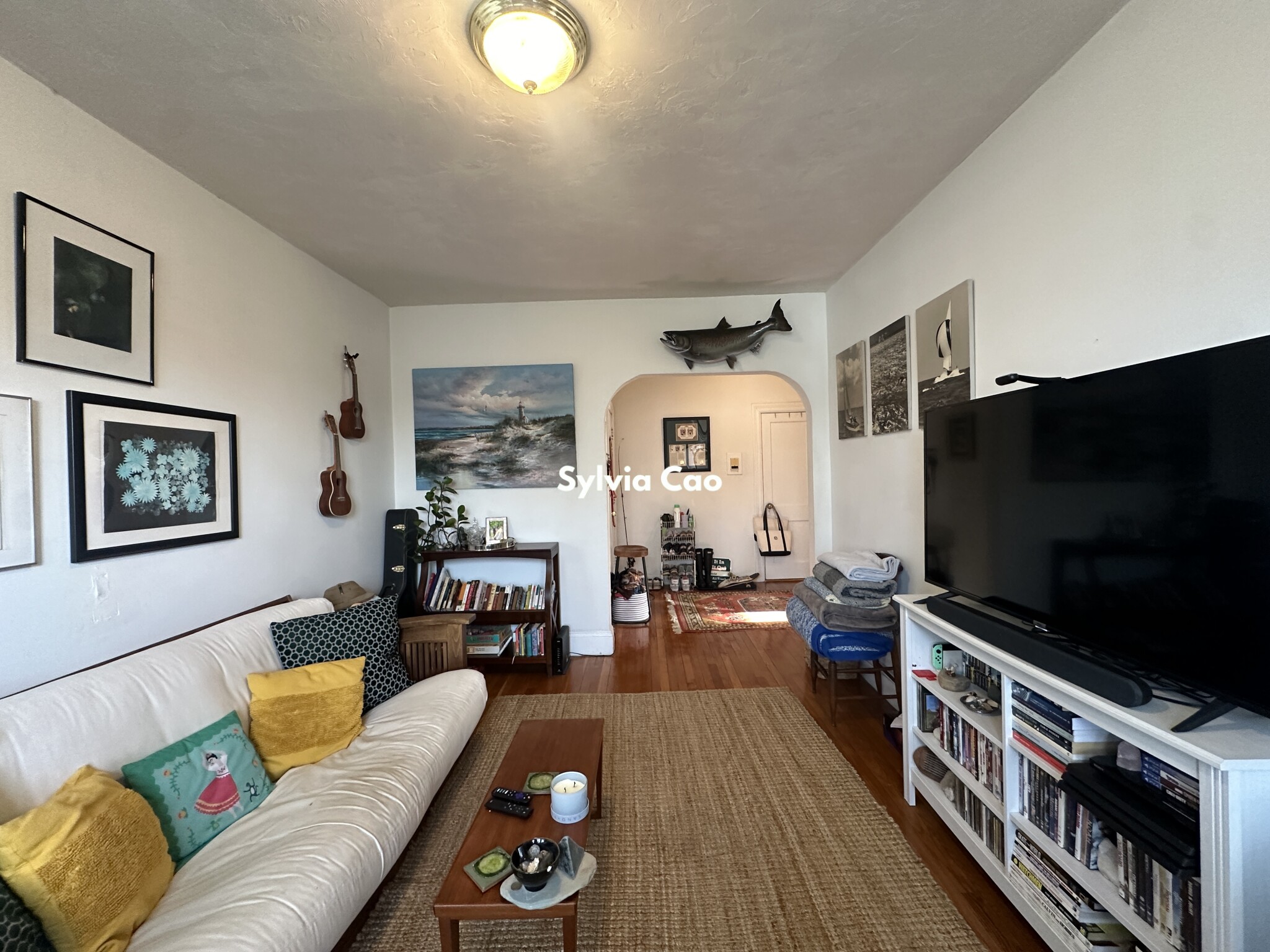 41 Chestnut Hill Ave, Brighton