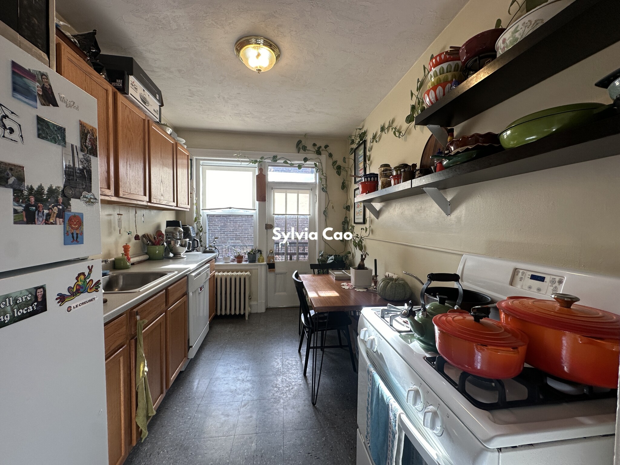 41 Chestnut Hill Ave, Brighton