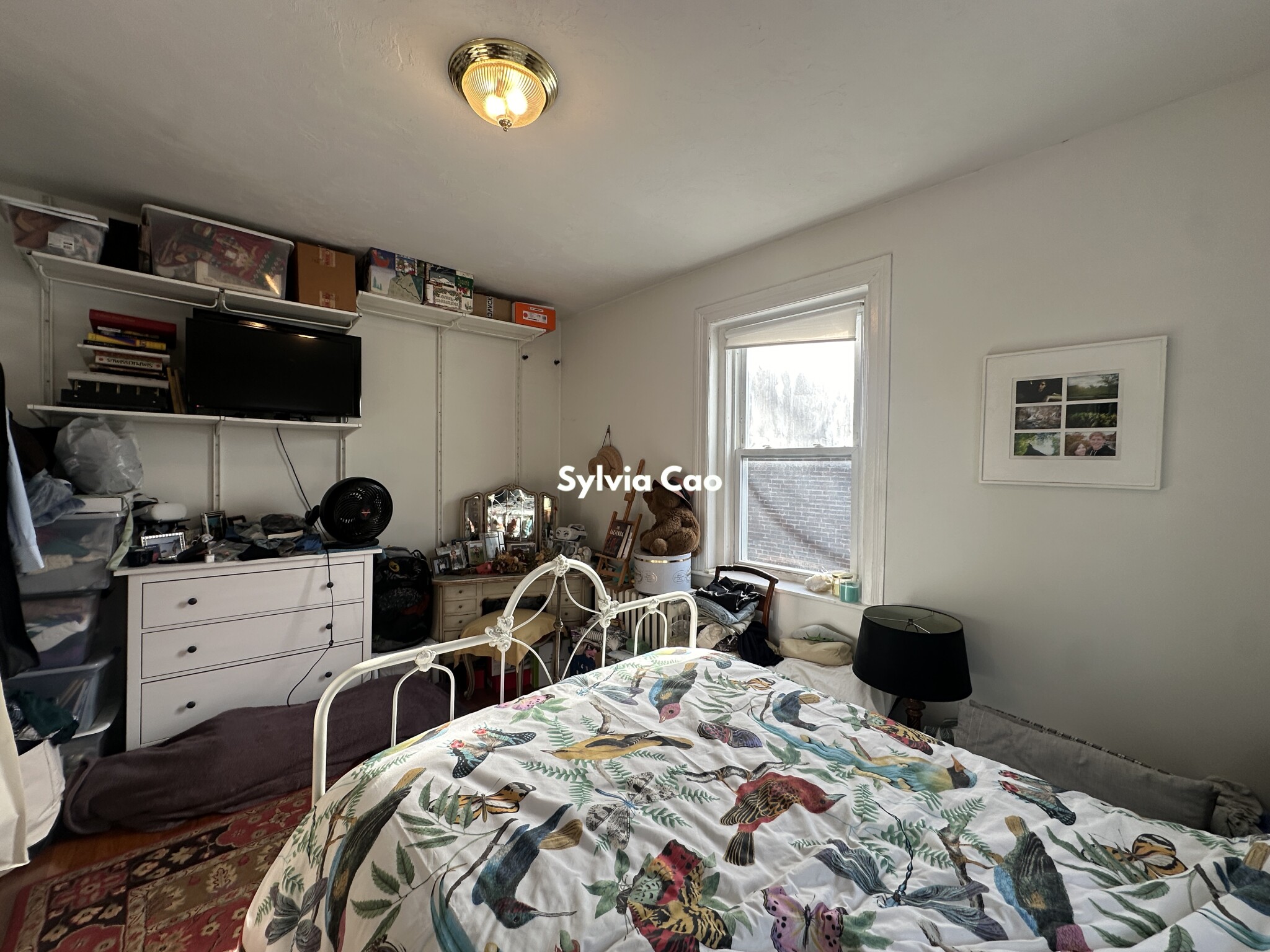 41 Chestnut Hill Ave, Brighton