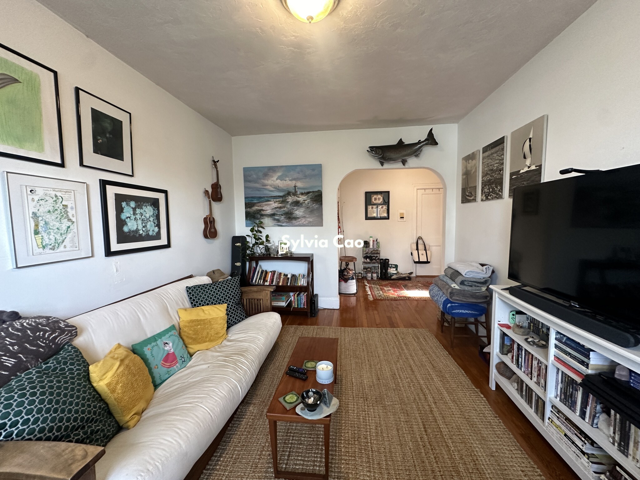 41 Chestnut Hill Ave, Brighton