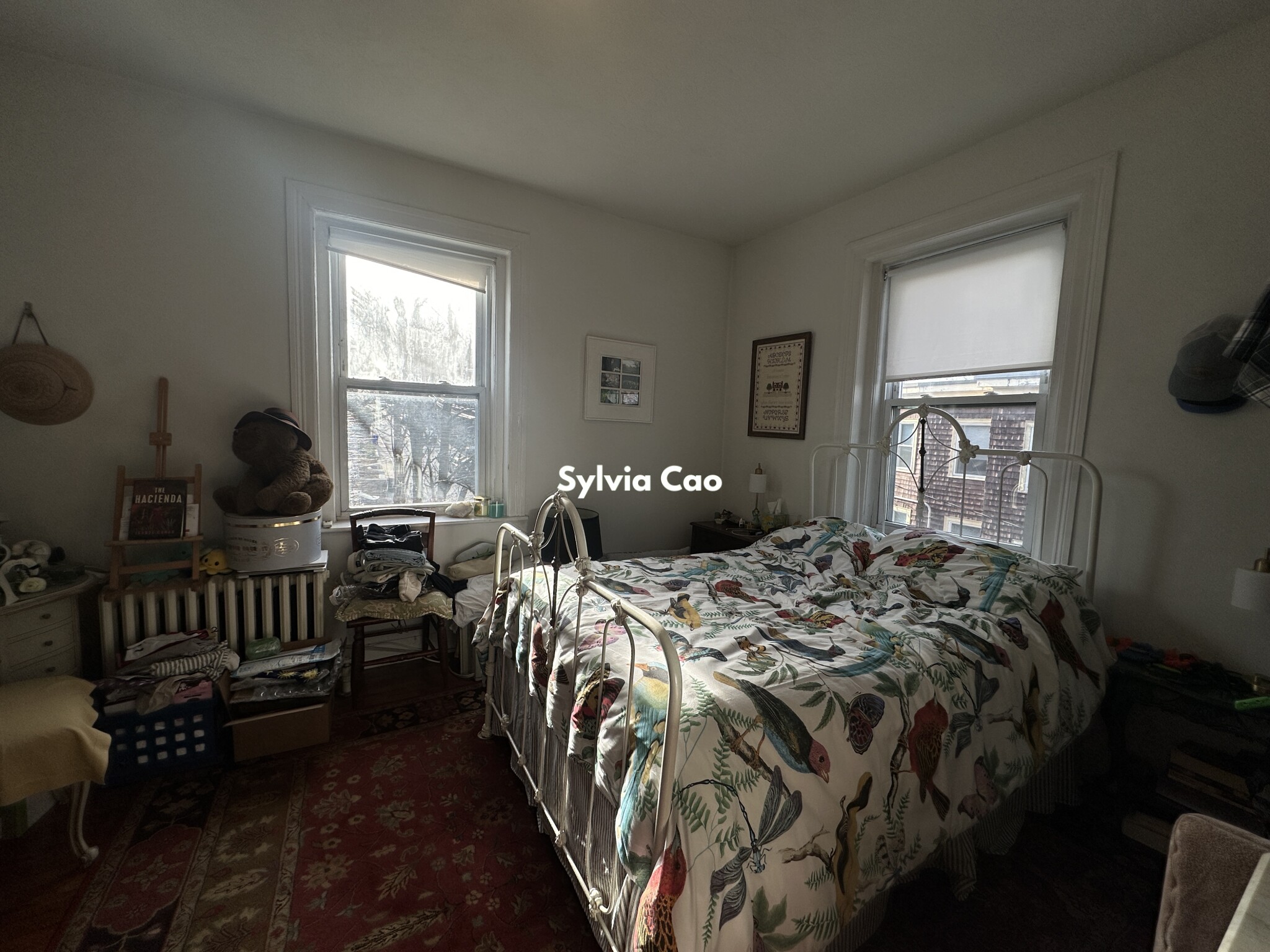 41 Chestnut Hill Ave, Brighton