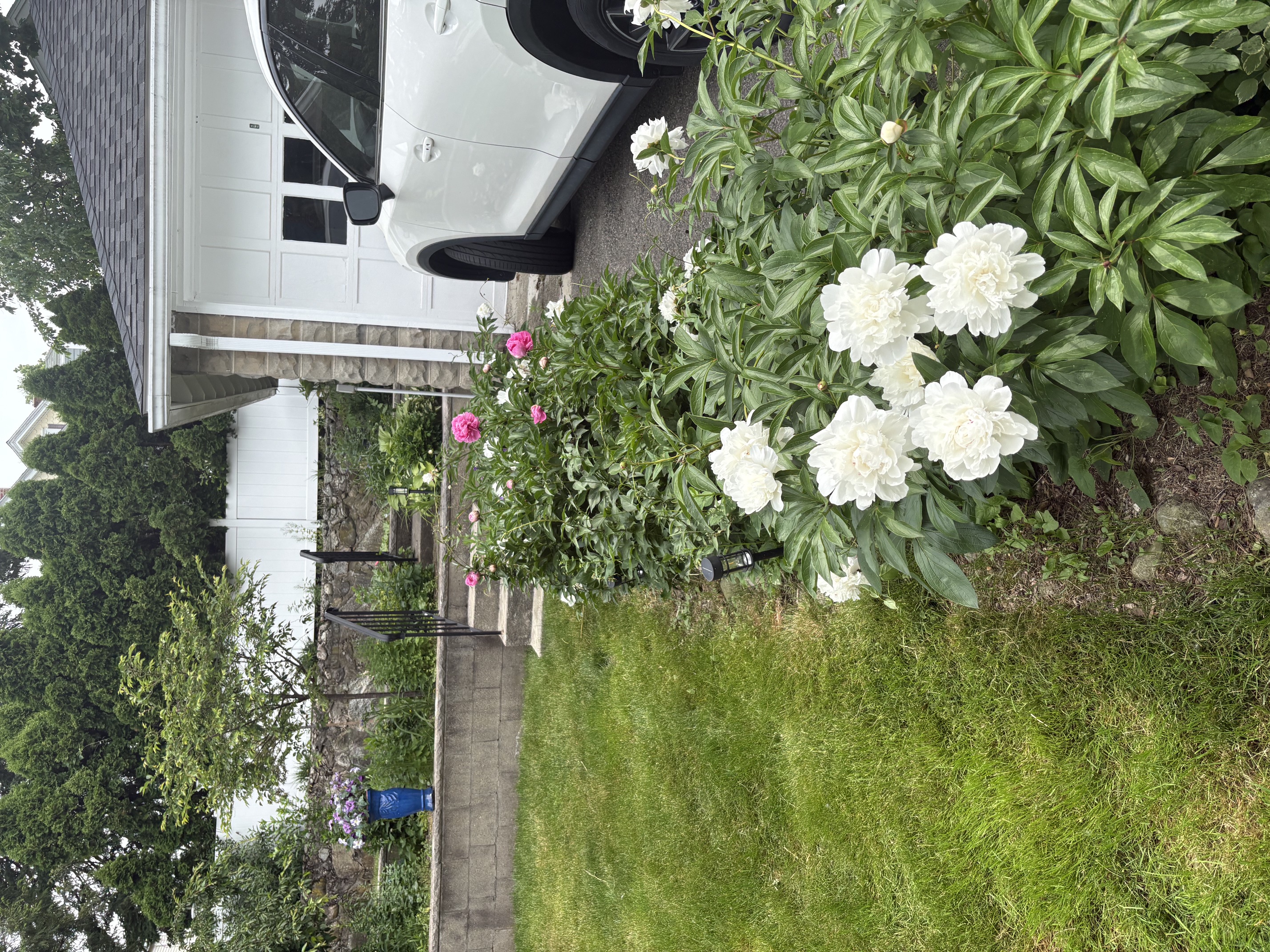 35 Sanborn Ave. — West Roxbury