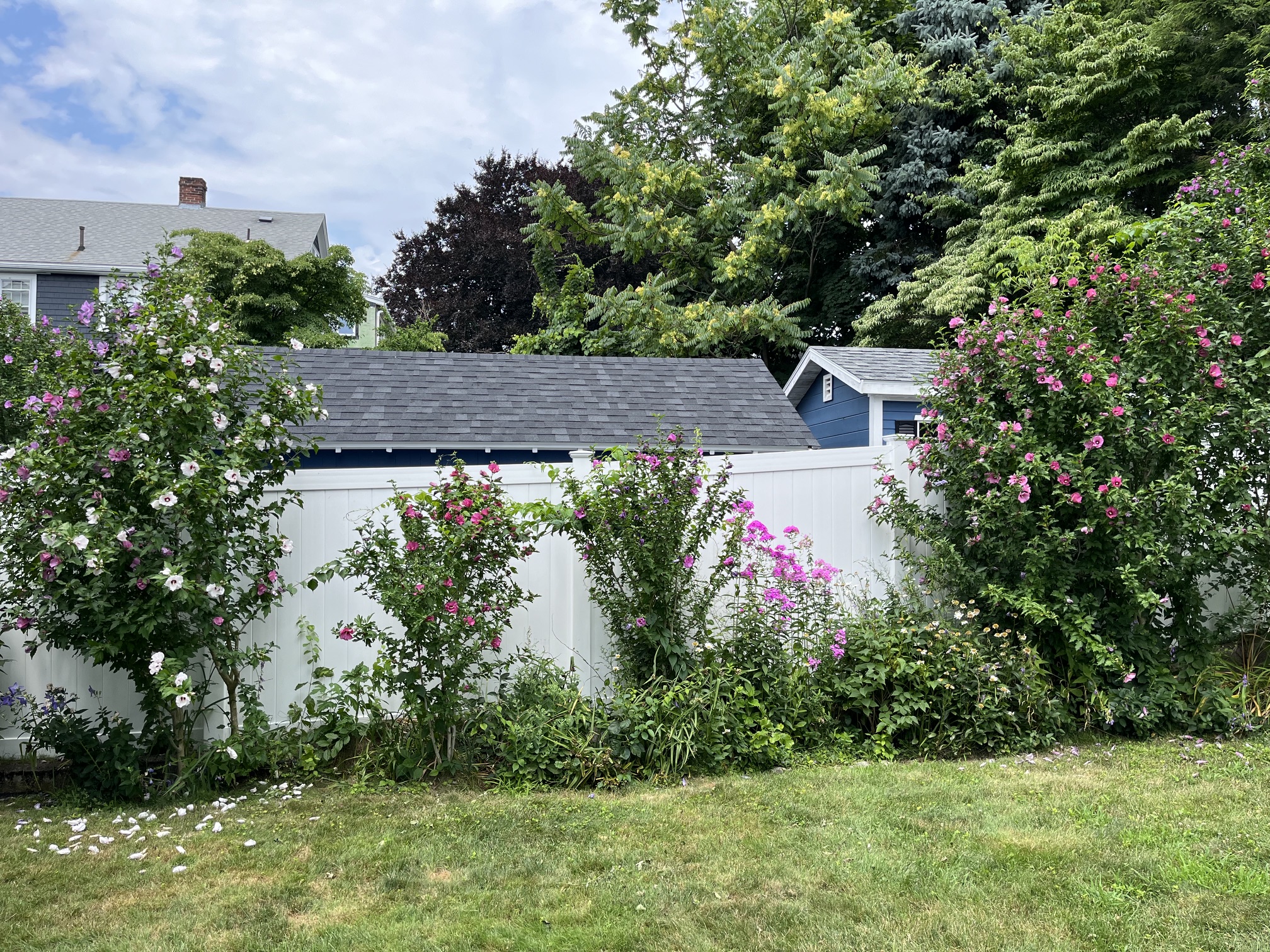 35 Sanborn Ave. — West Roxbury