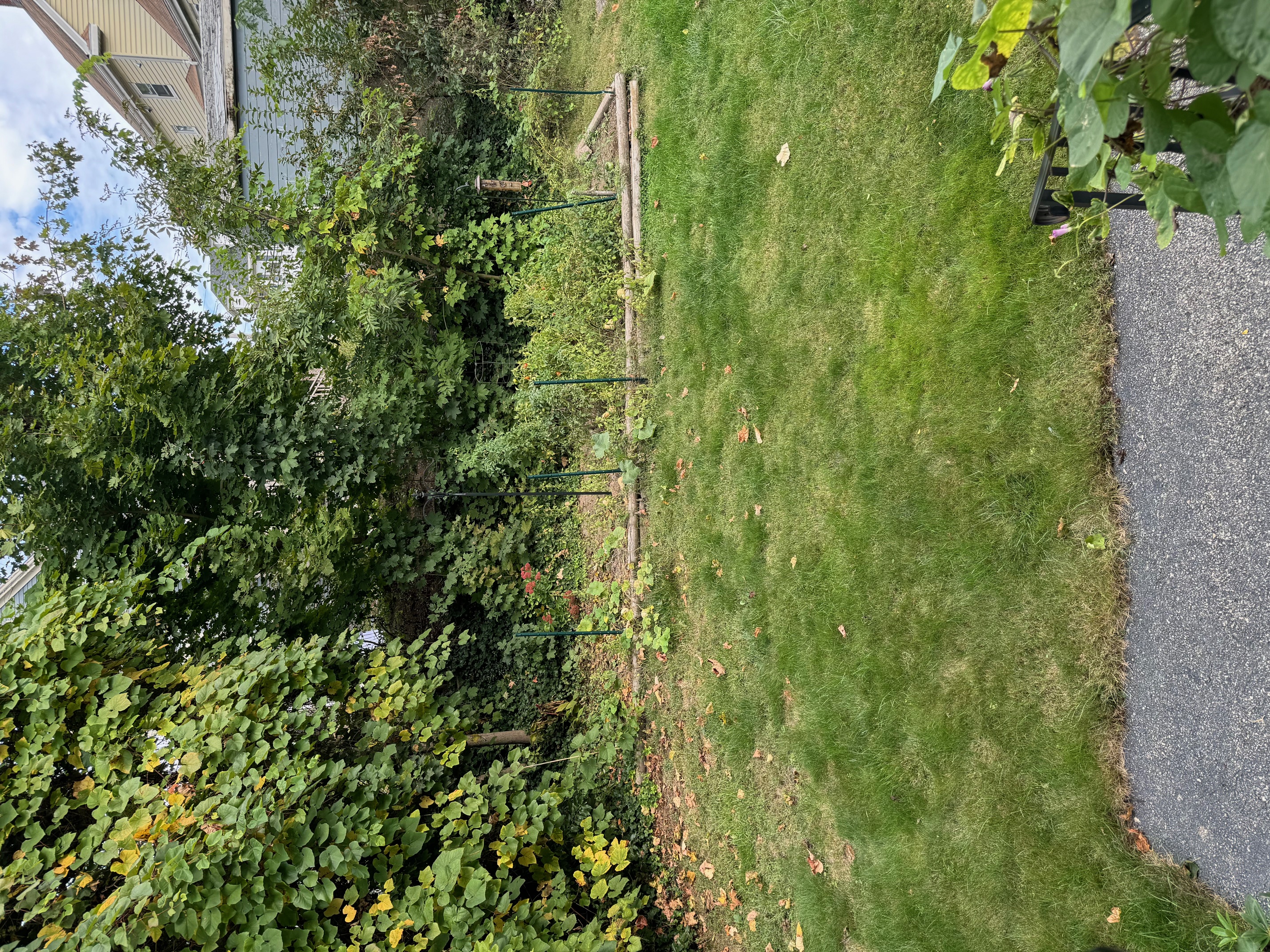 62 Cranch St, Quincy