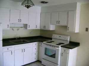 Brookline, MA 02446
