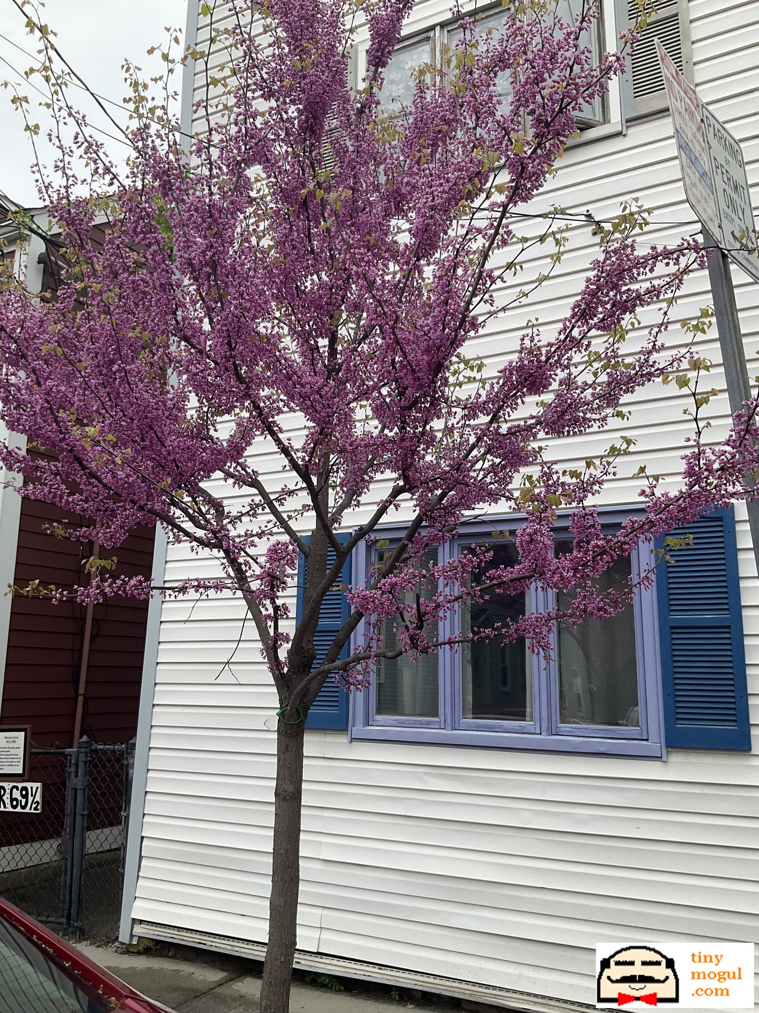 Photos of apartment on Gore St.,Cambridge MA 02141
