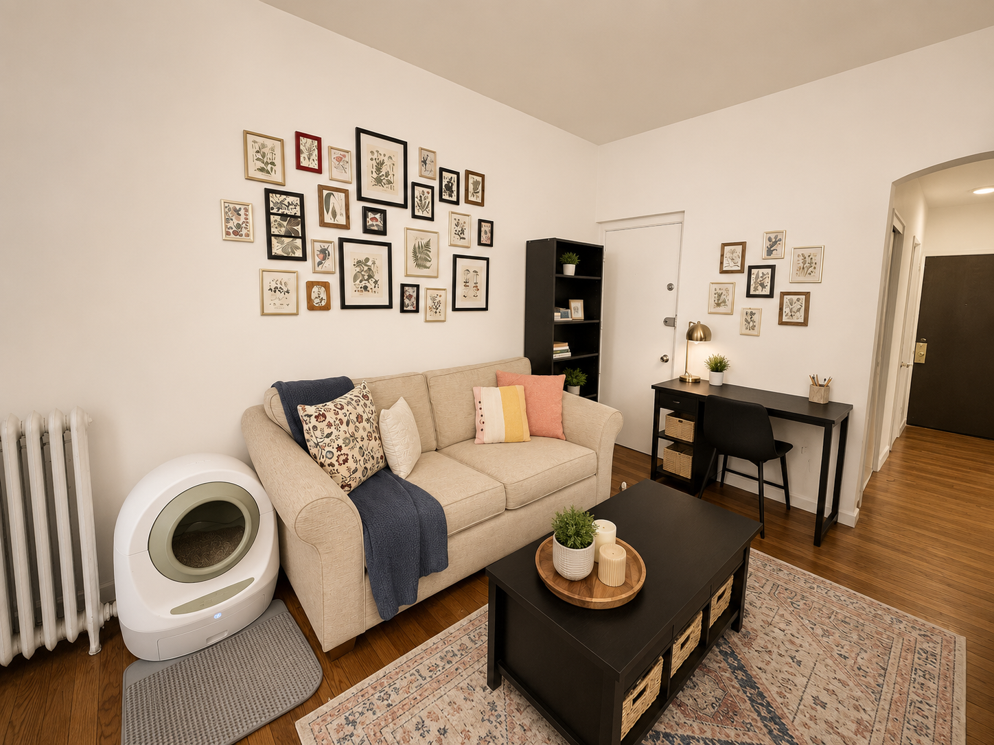 Photos of apartment on Commonwealth Ave.,Boston MA 02132