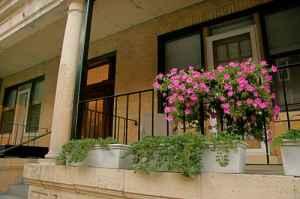 11 Carol Ave, Brighton