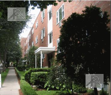 Brookline, MA 02446