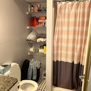 Photos of apartment on Park,Boston MA 02215