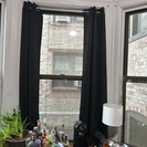 Photos of apartment on Commonwealth Ave.,Boston MA 02215
