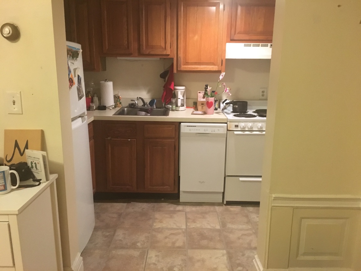 Studio bed, 1 bath apartment for rent at 466 Commonwealth Ave Unit 207, Fenway — photo 3 of 19