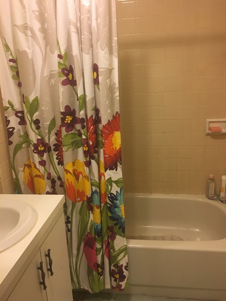 Studio bed, 1 bath apartment for rent at 466 Commonwealth Ave Unit 207, Fenway — photo 5 of 19
