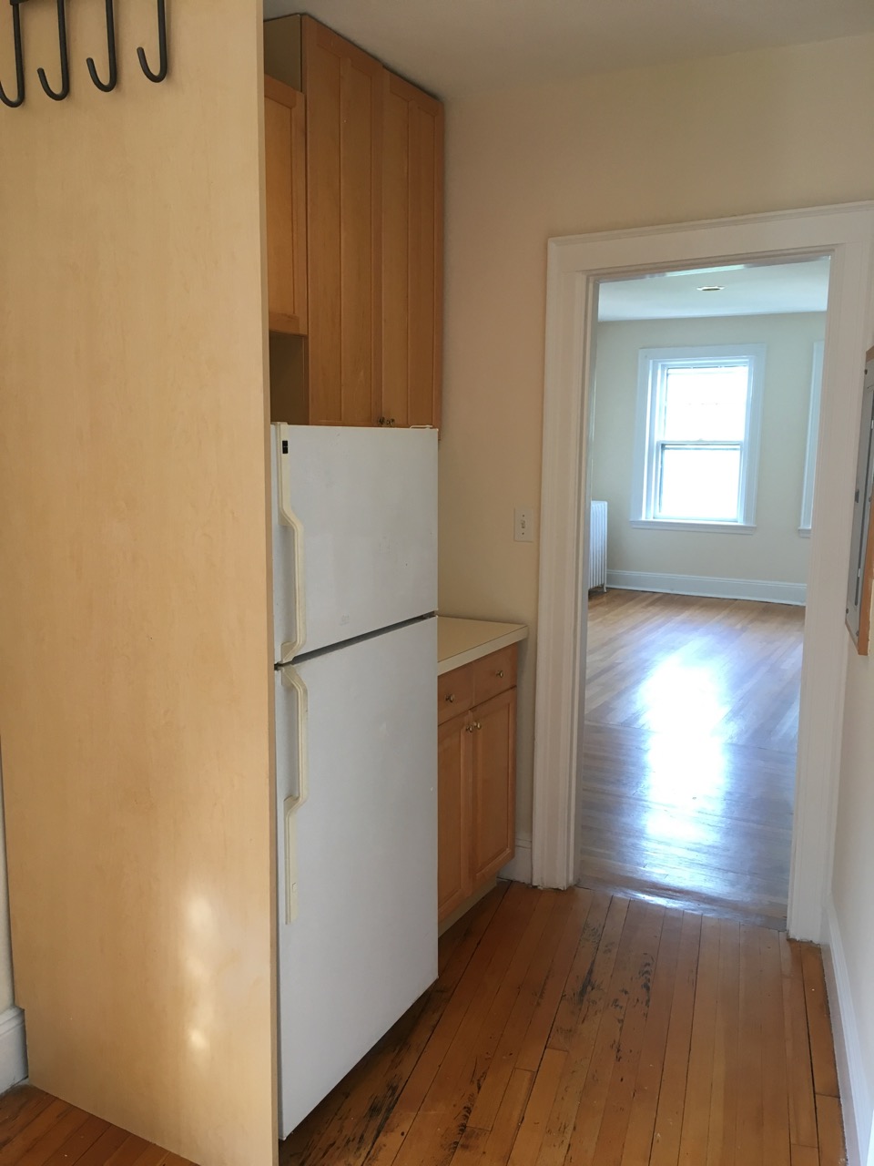 2 bed, 1 bath apartment for rent at 249 Chestnut Hill Ave Unit 51, Brighton — photo 5 of 11