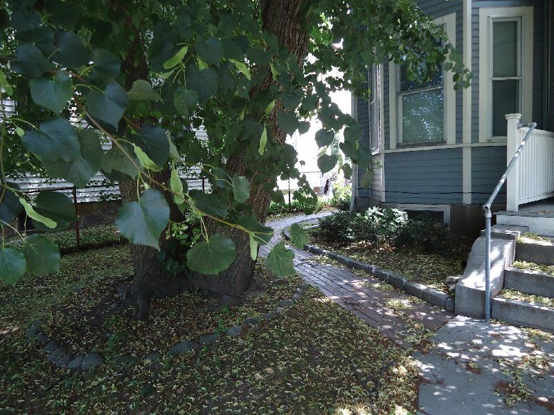 50 Monastery Rd, Brighton