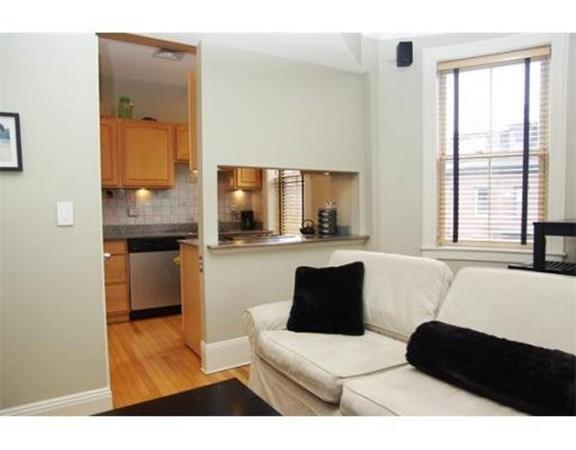 97 Brookline St, South End