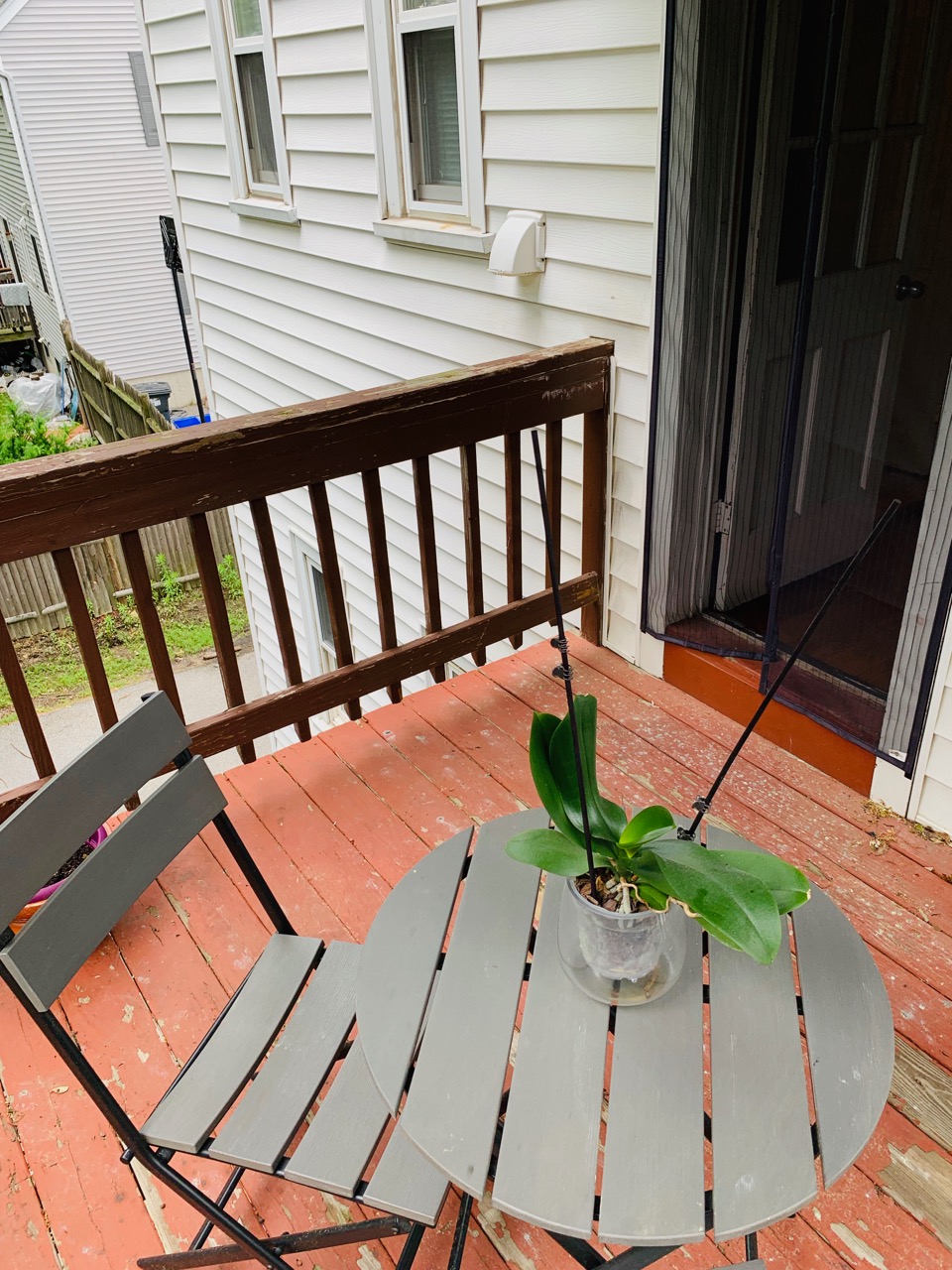 5 Lebanon Ter, Malden