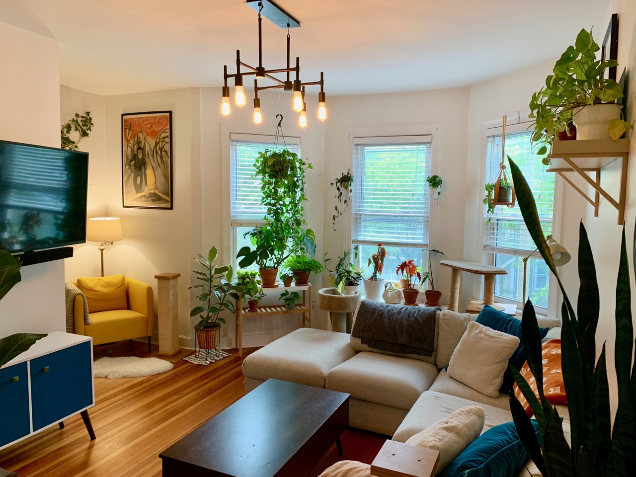 2 bed, 1 bath apartment for rent at 1 Kenney St Unit 2, Jamaica Plain — photo 2 of 14
