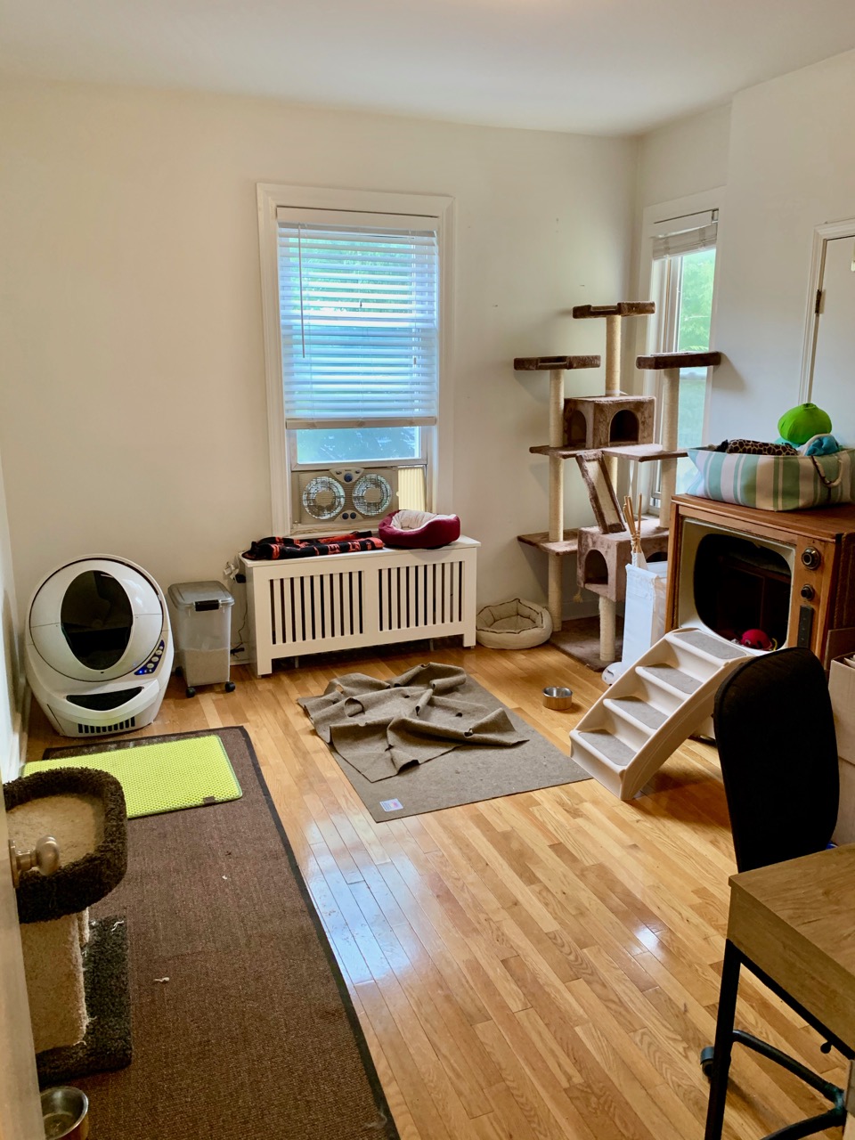 2 bed, 1 bath apartment for rent at 1 Kenney St Unit 2, Jamaica Plain — photo 13 of 14