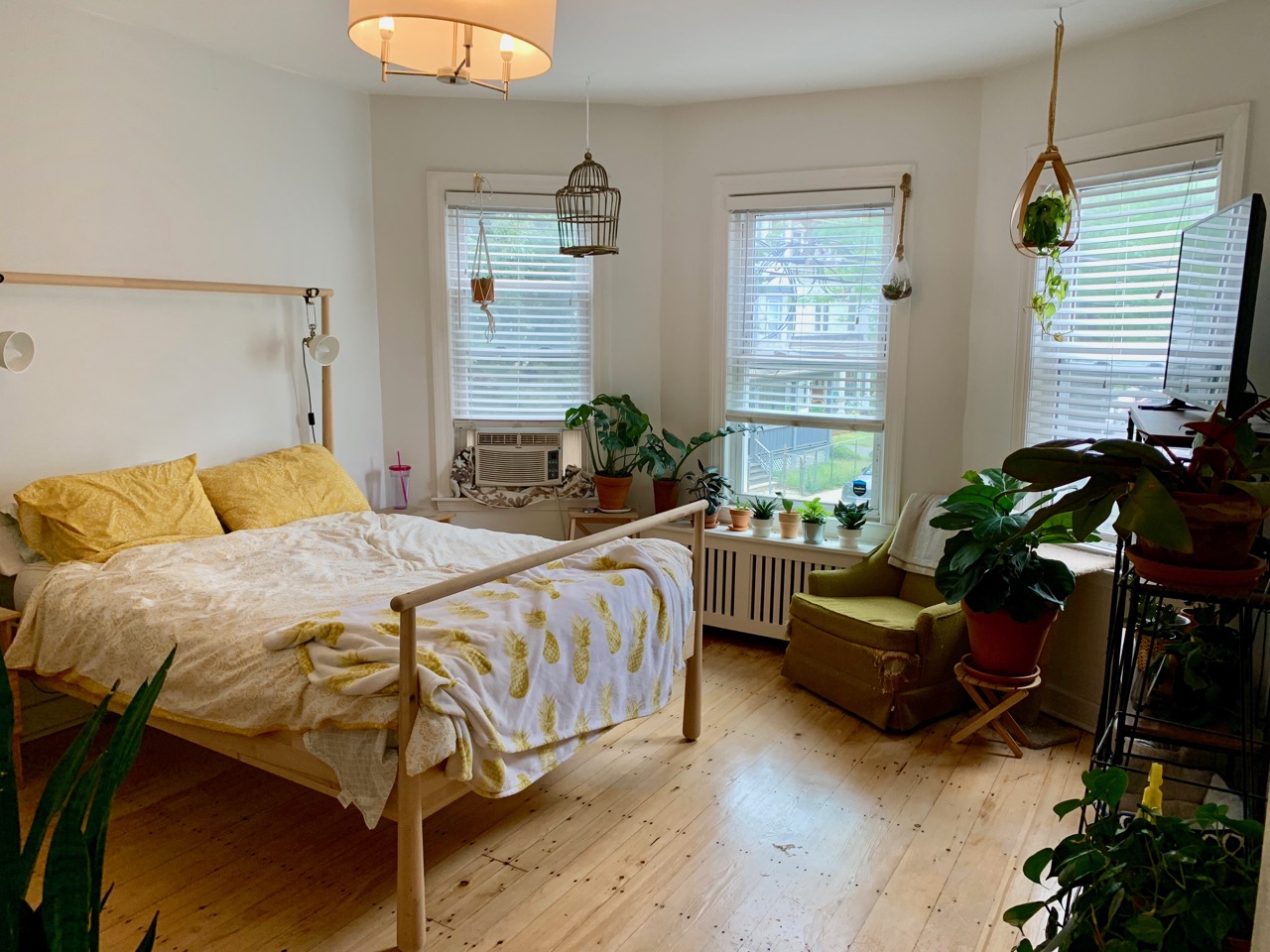 2 bed, 1 bath apartment for rent at 1 Kenney St Unit 2, Jamaica Plain — photo 11 of 14