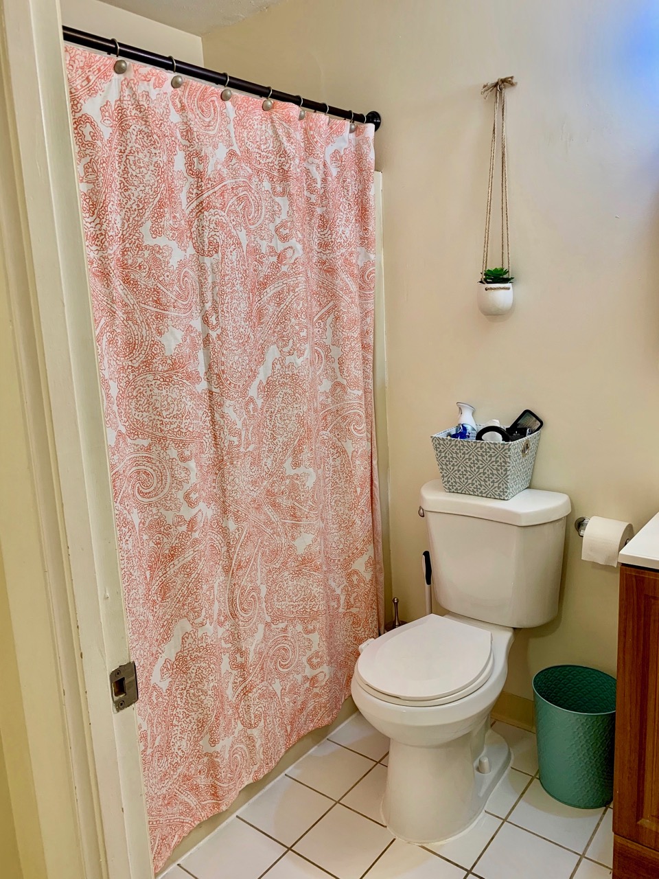1 bed, 1 bath apartment for rent at 276 Chestnut Hill Ave Unit 11, Brighton — photo 7 of 23