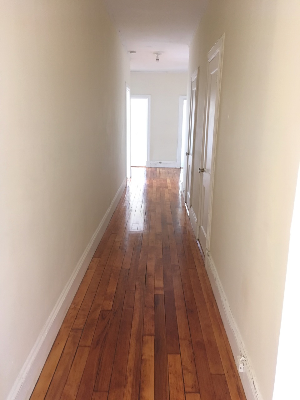 1284 Commonwealth Ave, Allston