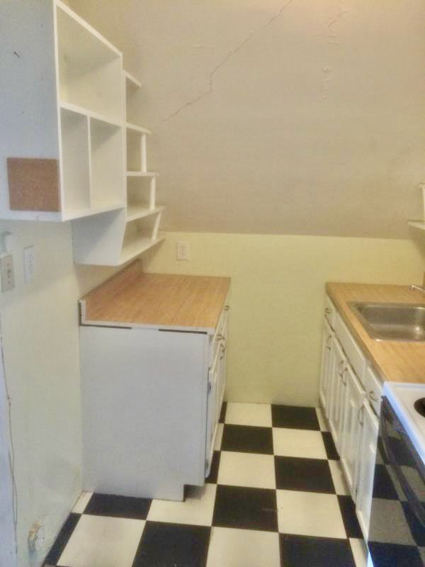 1 bed, 1 bath apartment for rent at 91 Stedman St Unit 3, Coolidge Corner — photo 8 of 14