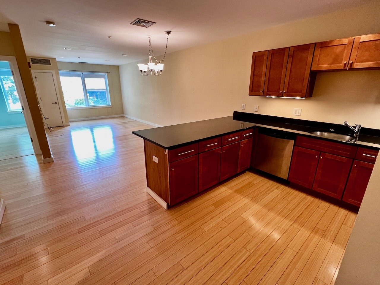 99 Chestnut Hill Ave, Brighton