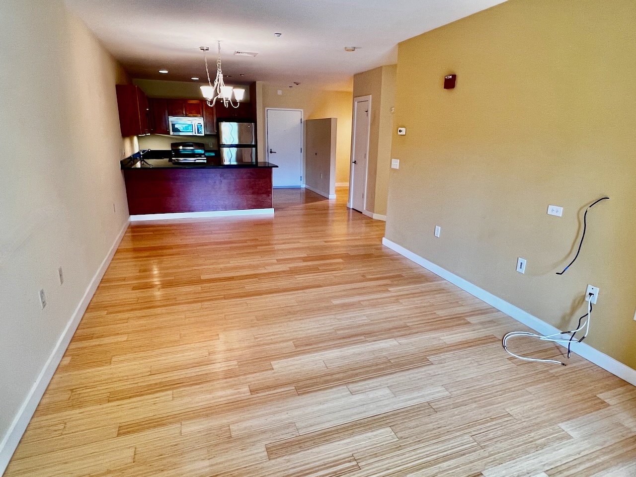 99 Chestnut Hill Ave, Brighton