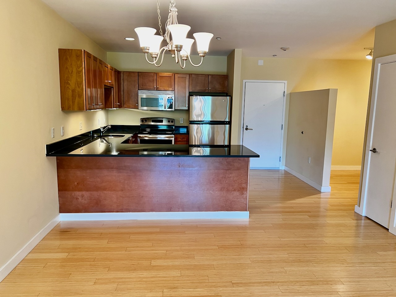 99 Chestnut Hill Ave, Brighton