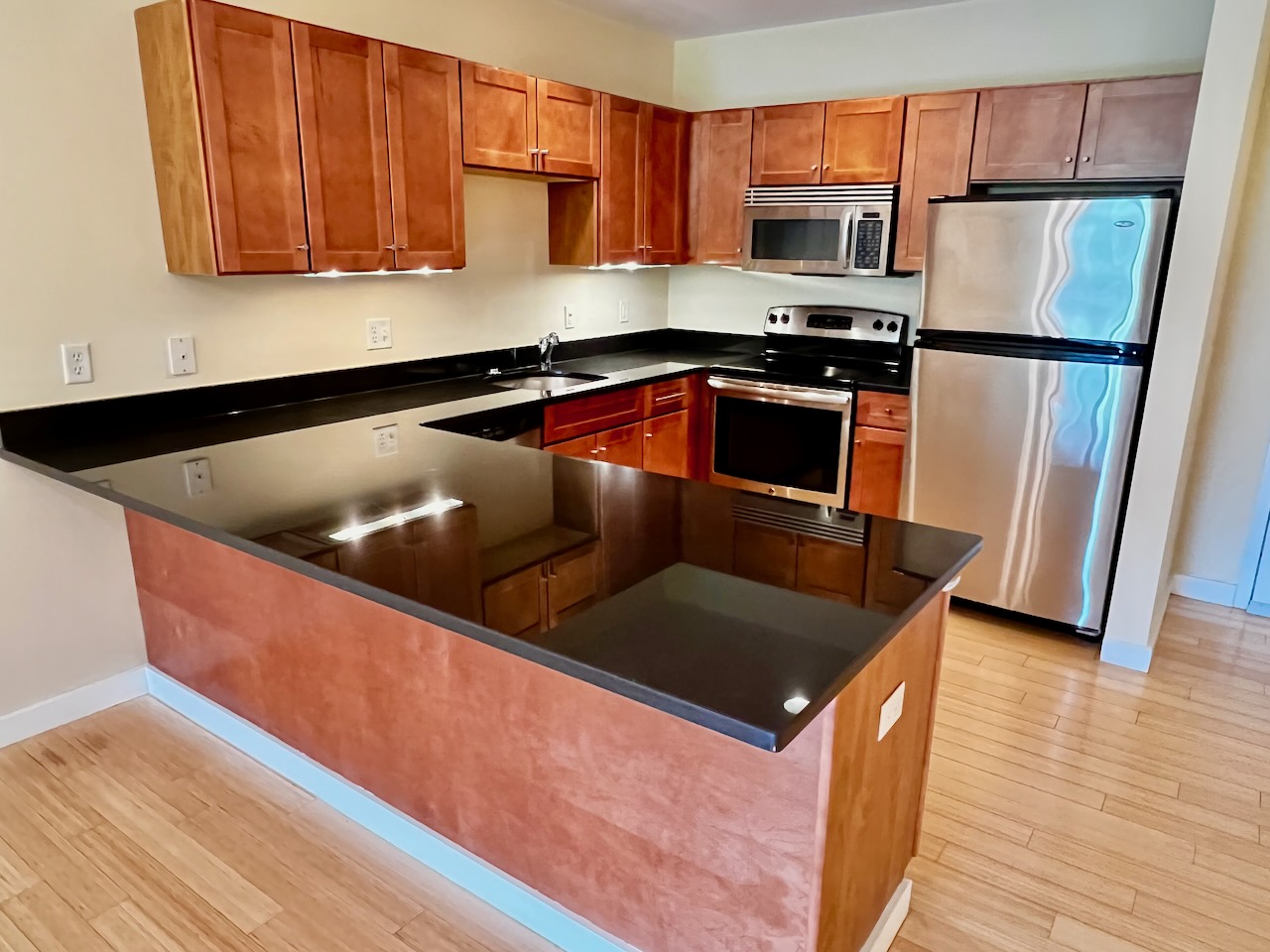 99 Chestnut Hill Ave, Brighton