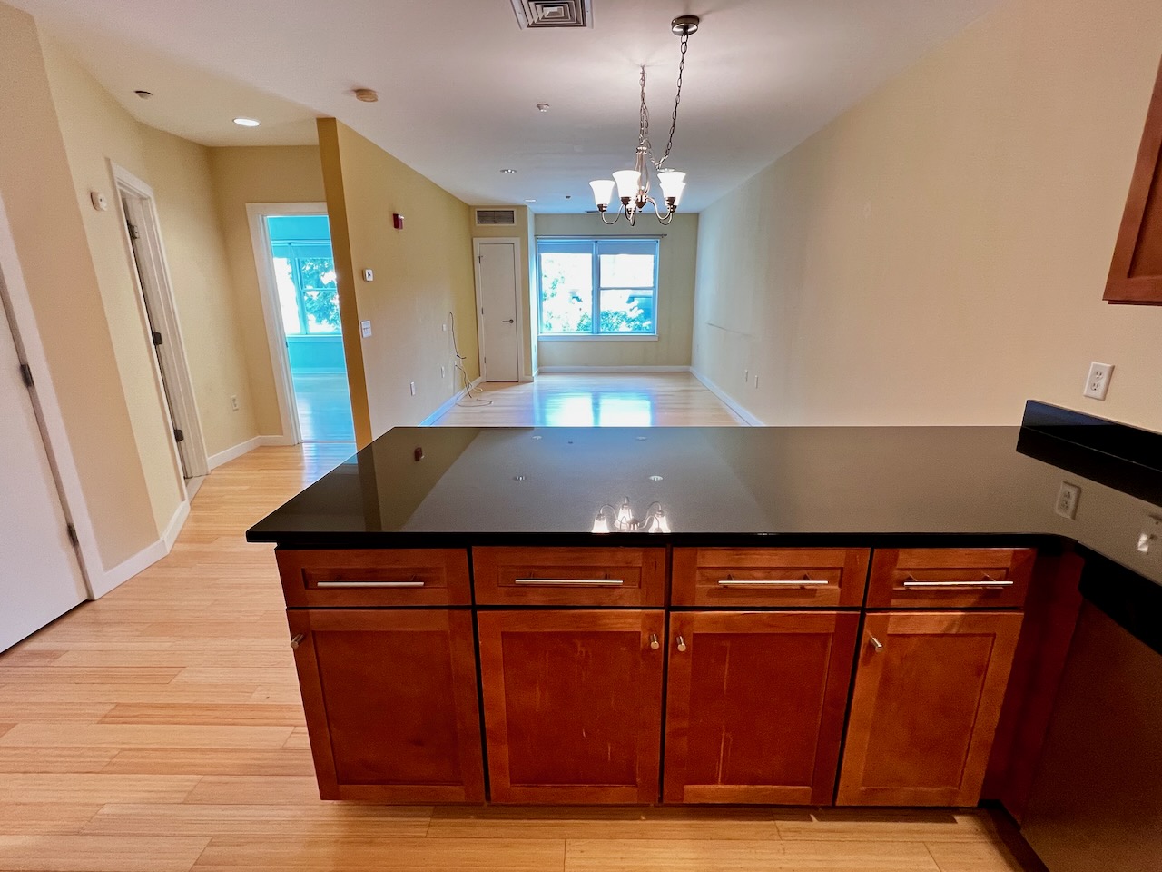 99 Chestnut Hill Ave, Brighton