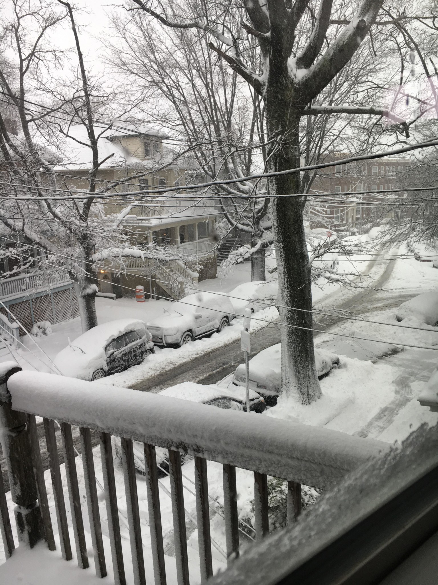1 bed, 1 bath apartment for rent at 42 Long Ave Unit 3, Allston — photo 13 of 14